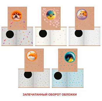 Тетрадь 48л. (клетка) ЭКСМО "Кругляши" ТК488754 двойн.обл.(1-ая:крафт-карт.,выру