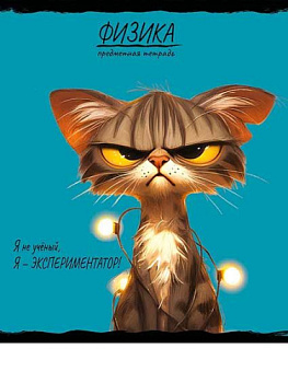 Тетрадь предм. 48л. Проф-пресс "Про хвост-Физика" 48-2499 тисн.холст (клетка)