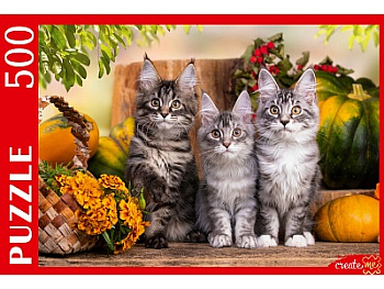 Пазлы (500эл) Три непоседливых котенка ШТП500-1472