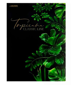 Папка с вкладышами/ 20 deVENTE А4 "Tropicana" 3101230 фактура "песок",тисн.фольг