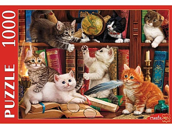 Пазлы (1000эл) Котята на книжной полке П1000-9660