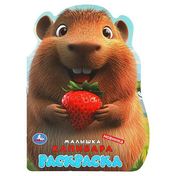 Раскраска А4 Малышка капибара 978-5-506-11019-4