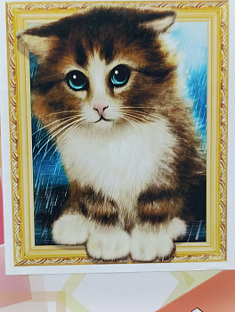 Алмазная мозаика (40х50см) с подрамником, полное заполнение 5D 0130 LT