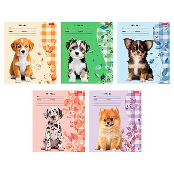 Тетрадь 24л. (линейка) ХАТ "Милые носики" скругл.углы,асс.