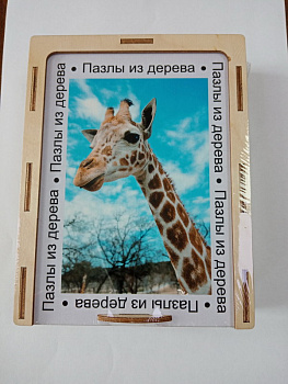 Пазл Фантазия (54дет,28х18,5см) ПДС 06