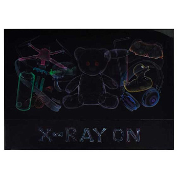 Папка д/тетрадей А4 ФЕНИКС "Рентген" 66331 полипропилен,1отд.,клапан