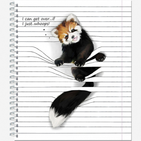 00-00045530