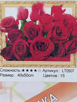 Алмазная мозаика (40х50см) с подрамником, полное заполнение 5D 0507 LT