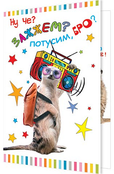 Открытка А5 Ну че? Зажжем? Потусим, бро? 2-04-3446А