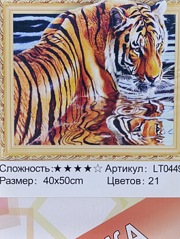 Алмазная мозаика (40х50см) с подрамником, полное заполнение 5D 0449 LT