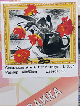 Алмазная мозаика (40х50см) с подрамником, полное заполнение 5D 0307 LT