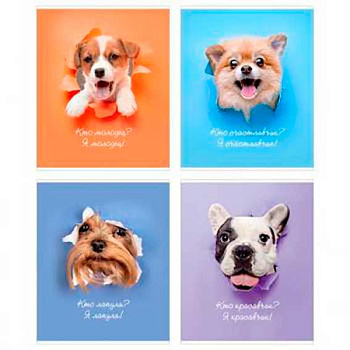 Тетрадь 96л. (клетка) КанцБиз "Кто я? ГРИН" ЕАС-12993/4