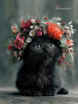 Тетрадь 96л. (клетка) АППЛИКА спираль "Чёрный котенок" С2277-58 обл.карт.