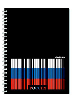 Тетрадь 48л. (клетка) АППЛИКА спираль "Россия" С0152-155