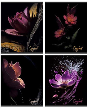 Тетрадь 96л. (линейка) АБ "Цветы на чёрном" Т596L1 FLB мел.карт.,лак,асс.