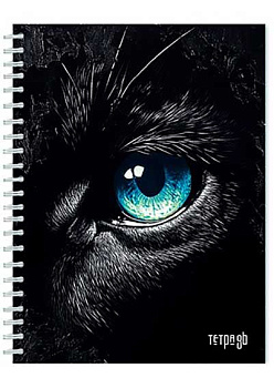 Тетрадь 48л. (линейка) АППЛИКА спираль "Взгляд" С0153-04