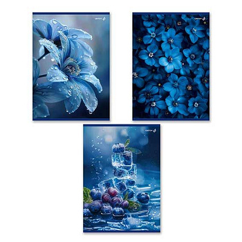 Тетрадь 80л. (клетка) А4 SVETOCH "Сквозь синий туман" Т155 (01763) выб.лак