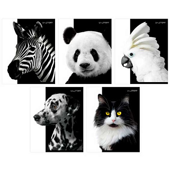 Тетрадь 48л. (клетка) ЭКСМО "Чёрно-белые животные" ТК489106 обл.мел.карт.,асс.