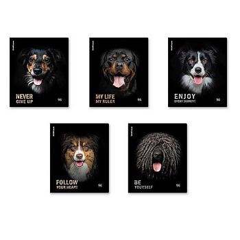 Тетрадь 96л. (клетка) EK "Собаки" 59977 мат.лам.,асс.