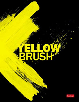 Папка на кольцах д/тетради ХАТ А5 "Взмах кистью" 29262 глянц.лам.,2 кольца