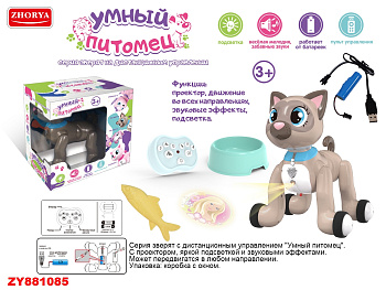 Кошка на РУ ZYB-B2997-6 аккум USB 2.4G в/к
