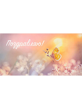 Конверт для денег Dream Cards  Soft Touch Поздравляю (Нежная бабочка)  КОН-2072
