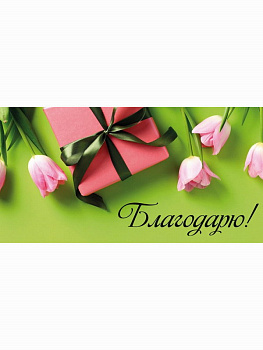 Конверт д/денег Благодарю! (тюльпаны и подарок) 1-04-0549