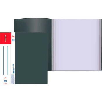 Папка с вкладышами/100 deVENTE А4 "Daily" 3107404 черная 800мкм фактура "песок"