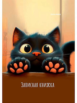 Записная книжка А7  48л. Проф-Пресс "Лапки котика-2" 48-8627 тв.обл.,глянц.лам.