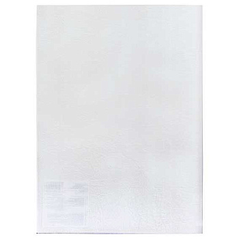 Папка-уголок А4 Expert Complete "Premier" ЕС2100300 прозр.new,180мкм