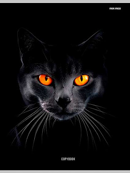 Тетрадь 48л. (клетка) А4 Проф-Пресс "Чёрная кошка-1" 48-2331 цв.мел.обл.