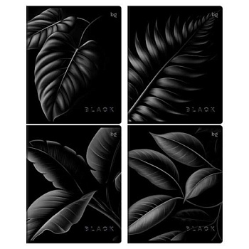 Тетрадь 80л. (клетка) BG "Just Black" 08552 выб.лак,лам.софт-тач