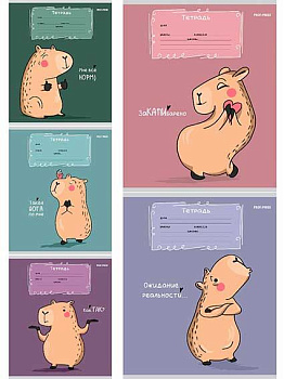 Тетрадь 12л. (клетка) Проф-Пресс "Милая капибара-1" Т12-5954 цв.мел.обл.,асс.