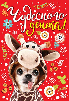 Открытка Чудесного денька! (текст,пластизоль) З-12156 