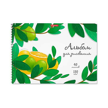 Альбом для рисования 40л. EK спираль "Juicy Fruits" 58585 микроперфор.