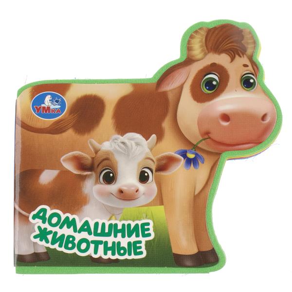 ЦБ-00061899