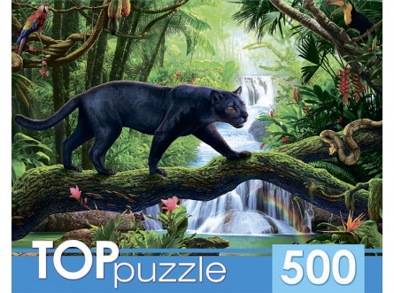 00-00054408