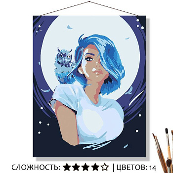 Картина по ном. на холсте (50х40см) с подрам. Девушка с совой (14цв) КН5040875