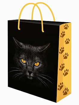 Пакет подарочный с глянц.лам. (26,4х32,7x8см) (L) Кот ППК-7840