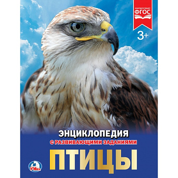 Энциклопедия А4 с развив.заданиями Птицы 978-5-506-02284-8