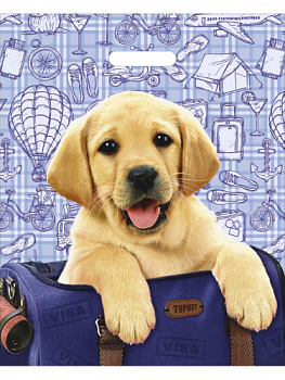 Пакет вырубной полиэтил.(38х47см) Турист СП-4394