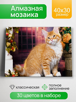 Алмазная мозаика классика (30х40см) Пушистый хвостик с подрамником, полное заполнение (30цв) НД-0522