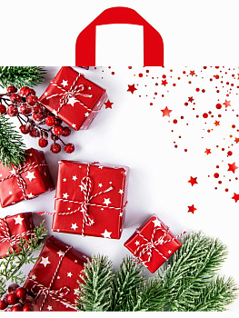 Пакет петлевой полиэтил.(42х38/37мкм) Время подарков н00287910