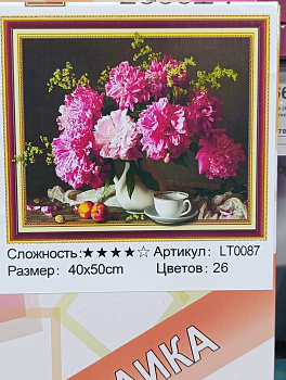 Алмазная мозаика (40х50см) с подрамником, полное заполнение 5D 0087 LT