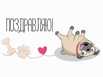 Конверт д/денег Поздравляю (холст, мопс) ЛХ-0180