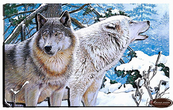 Папертоль Пара волков (25*45см) РТ150082