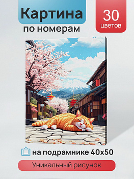 Холст с красками (40x50см) по номерам Котик на солнышке (30цв) в/к ХК-3898