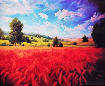 Алмазная мозаика (40х50см) с подрамником, полное заполнение 1052 DP