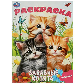 Раскраска А4 Забавные котята 978-5-506-09245-2
