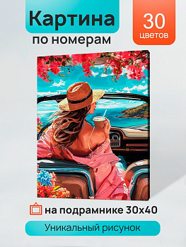 Холст с красками (30x40см) по номерам Девушка в кабриолете (30цв) в/к Х-5184